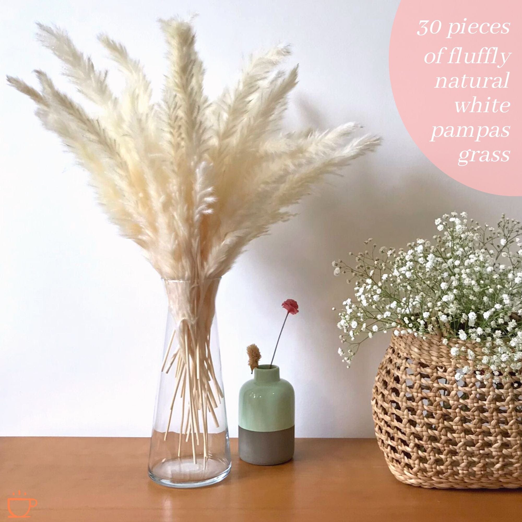SMTCoffee - Natural White Pampas Grass, 30 Pieces - 17" Pampas Grass Bouquet for Weddings